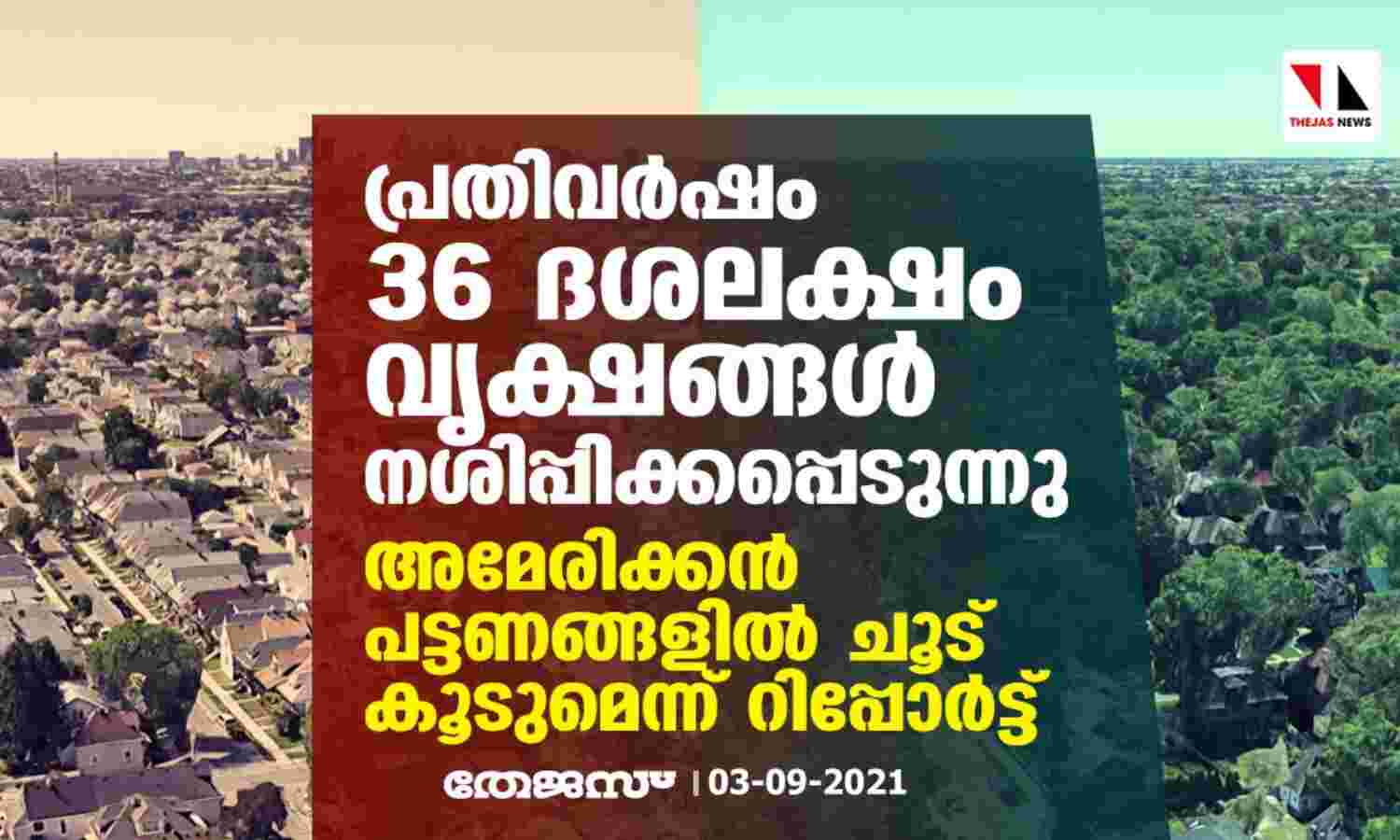 പ്രതിവര്‍ഷം 36 ദശലക്ഷം വൃക്ഷങ്ങള്‍ നശിപ്പിക്കപ്പെടുന്നു; അമേരിക്കന്‍ പട്ടണങ്ങളില്‍ ചൂട് കൂടുമെന്ന് റിപ്പോര്‍ട്ട്