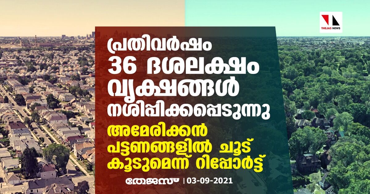 പ്രതിവര്‍ഷം 36 ദശലക്ഷം വൃക്ഷങ്ങള്‍ നശിപ്പിക്കപ്പെടുന്നു; അമേരിക്കന്‍ പട്ടണങ്ങളില്‍ ചൂട് കൂടുമെന്ന് റിപ്പോര്‍ട്ട്