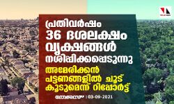 പ്രതിവര്‍ഷം 36 ദശലക്ഷം വൃക്ഷങ്ങള്‍ നശിപ്പിക്കപ്പെടുന്നു; അമേരിക്കന്‍ പട്ടണങ്ങളില്‍ ചൂട് കൂടുമെന്ന് റിപ്പോര്‍ട്ട്