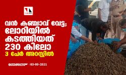 വന്‍ കഞ്ചാവ് വേട്ട; ലോറിയില്‍ കടത്തിയത് 230 കിലോ, 3 പേര്‍ അറസ്റ്റില്‍