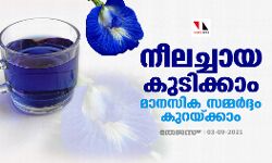 നീലച്ചായ കുടിക്കാം, മാനസിക സമ്മര്‍ദ്ദം കുറയ്ക്കാം