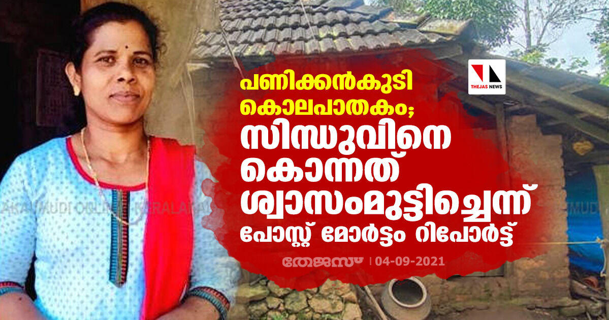 പണിക്കന്കുടി കൊലപാതകം; സിന്ധുവിനെ കൊന്നത് ശ്വാസംമുട്ടിച്ചെന്ന് പോസ്റ്റ് മോര്ട്ടം റിപോര്ട്ട് പണിക്കന്കുടി കൊലപാതകം; സിന്ധുവിനെ കൊന്നത് ശ്വാസംമുട്ടിച്ചെന്ന് പോസ്റ്റ് മോര്ട്ടം റിപോര്ട്ട്