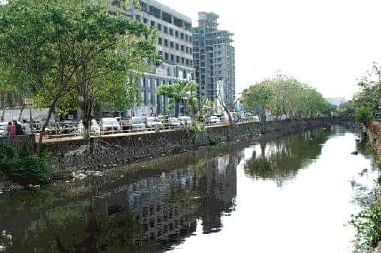 കാനോലി കനാലില്‍ വീണ് തമിഴ്‌നാട് സ്വദേശി മരിച്ചു