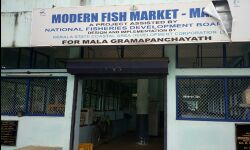 ജനങ്ങളുടെ നികുതിപ്പണം ചോരുന്നതിന്റെ ഉത്തമോദാഹരണമായി മാള മത്സ്യമാര്‍ക്കറ്റ്