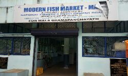 ജനങ്ങളുടെ നികുതിപ്പണം ചോരുന്നതിന്‍റെ ഉത്തമോദാഹരണമായി മാളയിലെ മൽസ്യ മാര്‍ക്കറ്റ്