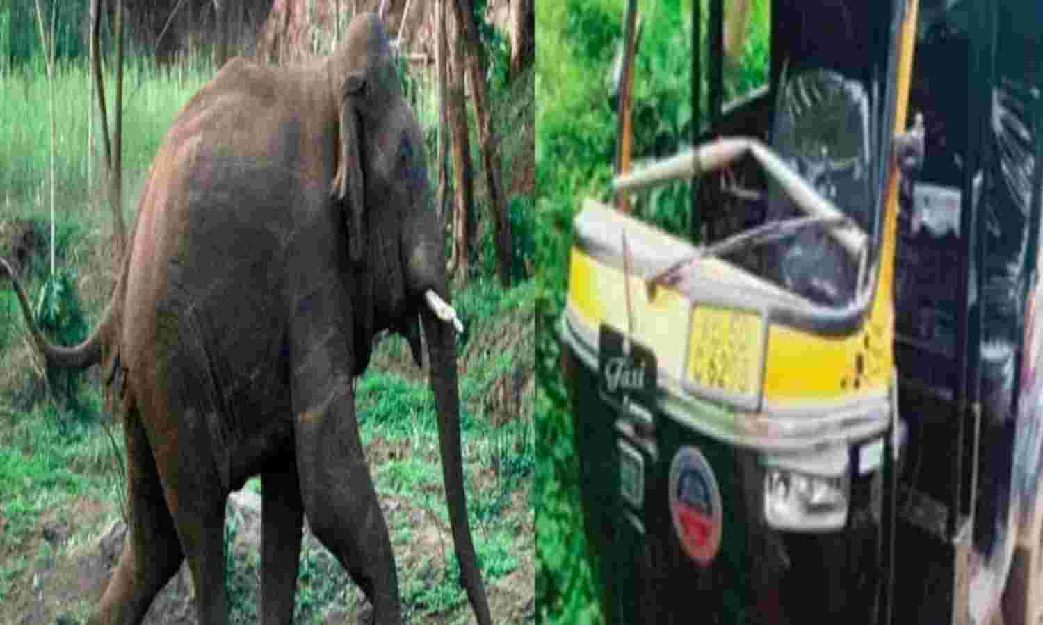 കാട്ടാന ഓട്ടോറിക്ഷ തകര്ത്തു കാട്ടാന ഓട്ടോറിക്ഷ തകര്ത്തു