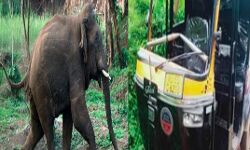 കാട്ടാന ഓട്ടോറിക്ഷ തകര്‍ത്തു