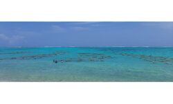 ലക്ഷദ്വീപില്‍ കടല്‍ പായല്‍ കൃഷിയുമായി കേന്ദ്ര സമുദ്രമല്‍സ്യ ഗവേഷണ സ്ഥാപനം