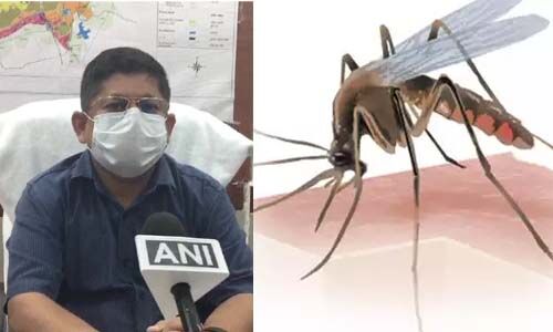 മധ്യപ്രദേശിലും ഡെങ്കിപ്പനി പടരുന്നു; 27 പേര്ക്ക് രോഗബാധ മധ്യപ്രദേശിലും ഡെങ്കിപ്പനി പടരുന്നു; 27 പേര്ക്ക് രോഗബാധ