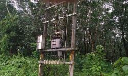 കെഎസ്ഇബിയുടെ അനാസ്ഥ; 65 ഓളം കുടുംബങ്ങളുടെ കുടിവെള്ളം മുടങ്ങി