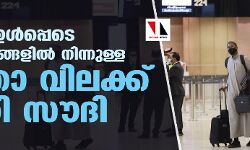 യുഎഇ ഉള്‍പ്പെടെ മൂന്ന് രാജ്യങ്ങളില്‍ നിന്നുള്ള യാത്രാ വിലക്ക് നീക്കി സൗദി