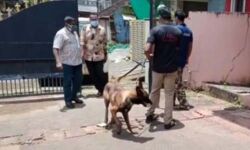 പാലക്കാട് നഗരമധ്യത്തില്‍ വീട് കുത്തിത്തുറന്ന് 25 പവനും 30,000 രൂപയും കവര്‍ന്നു