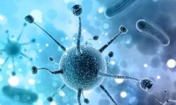 നിപ പ്രതിരോധം: നാദാപുരത്ത് അവലോകന യോഗം ചേര്ന്നു നിപ പ്രതിരോധം: നാദാപുരത്ത് അവലോകന യോഗം ചേര്ന്നു