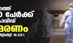 സംസ്ഥാനത്ത് ഇന്ന് 25,010 പേര്‍ക്ക് കൊവിഡ്;   ടെസ്റ്റ് പോസിറ്റിവിറ്റി നിരക്ക് 16.53; 177 മരണം