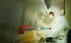 നിപാ പരിശോധന ലാബിലേക്ക് താല്ക്കാലിക നിയമനം നിപാ പരിശോധന ലാബിലേക്ക് താല്ക്കാലിക നിയമനം