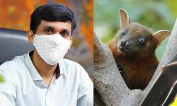 നിപ: വ്യാജ വാർത്തകൾ പ്രചരിപ്പിക്കുന്നവർക്കെതിരേ കർശന നടപടി: ജില്ലാ കലക്ടർ