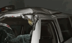 വയനാട്ടില്‍ എക്‌സൈസ് സംഘത്തിന് നേരെ കാട്ടാനയുടെ ആക്രമണം; വാഹനം തകര്‍ത്തു