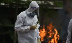 കോഴിക്കോട് ജില്ലയില് കൊവിഡ് മരണങ്ങള് കൂടിയെന്ന വാര്ത്ത തെറ്റിദ്ധാരണാജനകം: ഡിഎംഒ കോഴിക്കോട് ജില്ലയില് കൊവിഡ് മരണങ്ങള് കൂടിയെന്ന വാര്ത്ത തെറ്റിദ്ധാരണാജനകം: ഡിഎംഒ