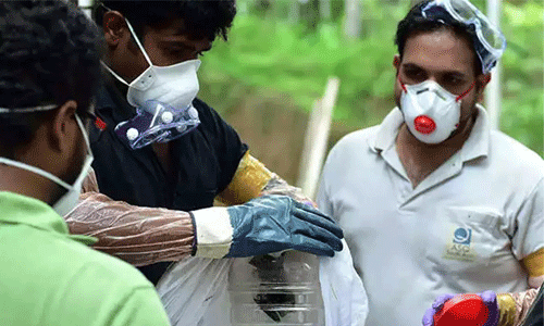 മാതൃകയായി നിപ പ്രതിരോധം: ഒറ്റ ദിവസം കൊണ്ട് നിപ ലാബ്; 6 ദിവസം കൊണ്ട് 115 പരിശോധനകള്‍