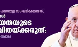 അപരന്റെ പേര് പറഞ്ഞല്ല സംഘടിക്കേണ്ടത്, മതനേതാക്കള്‍ വിഭാഗീയതയുടെ വിത്ത് വിതയ്ക്കരുത്: ഫ്രാന്‍സീസ് മാര്‍പ്പാപ്പ
