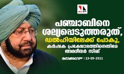 പഞ്ചാബിനെ ശല്യപ്പെടുത്തരുത് ,​ ഡൽഹിയിലേക്ക് പോകൂ,​ കർഷക പ്രക്ഷോഭത്തിനെതിരേ അമരീന്ദർ സിങ്