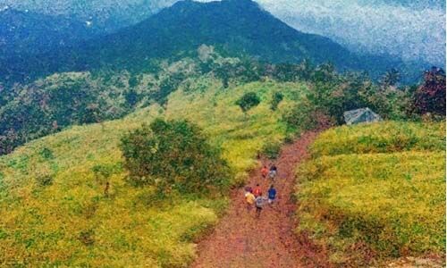 കൊടികുത്തി മലയിലേക്ക് പ്രവേശിക്കുന്നതിന് പാസ് ഏര്പ്പെടുത്തി കൊടികുത്തി മലയിലേക്ക് പ്രവേശിക്കുന്നതിന് പാസ് ഏര്പ്പെടുത്തി