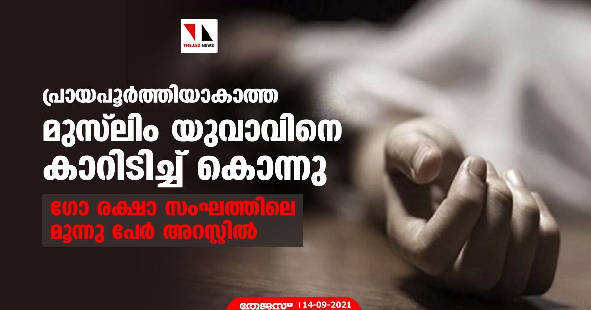 പ്രായപൂര്‍ത്തിയാകാത്ത മുസ്‌ലിം യുവാവിനെ കാറിടിച്ച് കൊന്നു; ഗോ രക്ഷാ സംഘത്തിലെ മൂന്നു പേര്‍ അറസ്റ്റില്‍