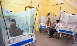 ഡെങ്കിപ്പനി: ആഗ്രയില്‍ സ്ഥിതിഗതികള്‍ രൂക്ഷം; രോഗികളില്‍ 60 ശതമാനവും കുട്ടികള്‍