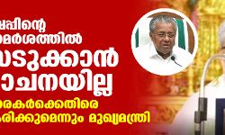 നര്‍ക്കോട്ടിക് ജിഹാദ് പരാമര്‍ശത്തില്‍ കേസെടുക്കാന്‍ സര്‍ക്കാരിന് ആലോചനയില്ല; വിദ്വേഷപ്രചാരകര്‍ക്കെതിരെ നടപടിയെന്നും മുഖ്യമന്ത്രി
