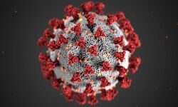 കണ്ണൂര്‍ ജില്ലയില്‍ 1246 പേര്‍ക്ക് കൂടി കൊവിഡ്; 1229 പേര്‍ക്ക് സമ്പര്‍ക്കത്തിലൂടെ