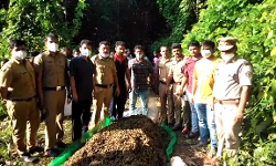 നിലമ്പൂരിൽ 183 കിലോ കഞ്ചാവും ഒരു കിലോയോളം ഹാഷിഷ് ഓയിലുമായി നാല് പേർ എക്‌സൈസ് പിടിയിൽ