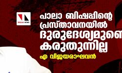പാലാ ബിഷപ്പിന്റെ പ്രസ്താവനയില്‍ ദുരുദേശ്യമുണ്ടെന്ന് കരുതുന്നില്ല: എ വിജയരാഘവന്‍