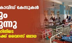 രാജ്യത്ത് കൊവിഡ് കേസുകള്‍ വീണ്ടും ഉയരുന്നു; 24 മണിക്കൂറിനിടെ 35,662 പേര്‍ക്ക് വൈറസ് ബാധ
