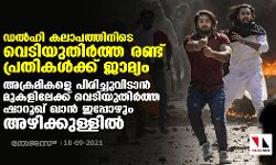 ഡല്‍ഹി കലാപത്തിനിടെ വെടിയുതിര്‍ത്ത രണ്ടു പ്രതികള്‍ക്ക് ജാമ്യം; അക്രമികളെ പിരിച്ചുവിടാന്‍ മുകളിലേക്ക് വെടിയുതിര്‍ത്ത ഷാറൂഖ് പത്താന്‍ ഇപ്പോഴും അഴിക്കുള്ളില്‍