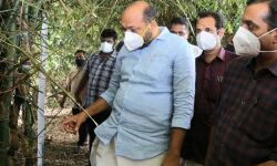 മുള മേഖലയ്ക്ക് പ്രാധാന്യം കൊടുക്കുന്ന സമീപനമാണ് സര്‍ക്കാരിന്റേതെന്ന് മന്ത്രി രാജീവ്