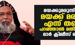 നര്‍കോട്ടിക് ജിഹാദ്: മയക്കുമരുന്നിനെ, മയക്ക് മരുന്ന് എന്ന് തന്നെ പറഞ്ഞാല്‍ മതിയെന്ന് മാര്‍ ക്ലിമ്മീസ് ബാവ