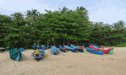 കാപ്പാട് ബ്ലൂ ഫ്‌ലാഗ് ബീച്ചില്‍ സന്ദര്‍ശനാനുമതി