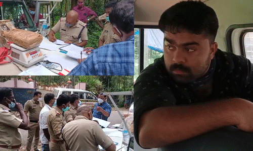 അരിസഞ്ചിയില് കഞ്ചാവ് കടത്ത്; പാലാ സ്വദേശി അറസ്റ്റില് അരിസഞ്ചിയില് കഞ്ചാവ് കടത്ത്; പാലാ സ്വദേശി അറസ്റ്റില്