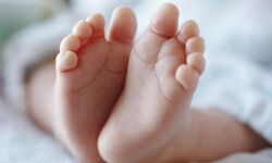 ഒരു വയസ്സുകാരന്റെ മരണം; മുത്തശ്ശി അറസ്റ്റില്‍