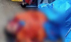 വീട്ടമ്മയെ കാട്ടാന ചവിട്ടിക്കൊന്നു