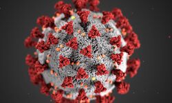 പാലക്കാട് ജില്ലയില്‍ ഇന്ന് 1312പേര്‍ക്ക് കൊവിഡ്; 1064 പേര്‍ക്ക് രോഗമുക്തി