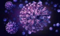 കൊവിഡ് 19: മലപ്പുറം ജില്ലയില് 1,285 പേര്ക്ക് വൈറസ്ബാധ; ടി.പി.ആര് നിരക്ക് 13.38 ശതമാനം കൊവിഡ് 19: മലപ്പുറം ജില്ലയില് 1,285 പേര്ക്ക് വൈറസ്ബാധ; ടി.പി.ആര് നിരക്ക് 13.38 ശതമാനം