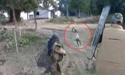 അസം വെടിവയ്പ് ഭയപ്പെടുത്തി വംശഹത്യ ചെയ്യാനുള്ള സംഘപരിവാര ശ്രമമെന്ന് ഇന്ത്യന്‍ സോഷ്യല്‍ ഫോറം, റിയാദ്