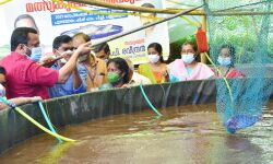 เดชเตเดเตเดเดฟ เดเดฒเตโเดชเดจเตเดจเดเตเดเดณเตเดเต เดตเดฟเดคเดฐเดฃเดคเตเดคเดฟเดจเต เดฌเตเดฐเดพเดจเตโเดกเต เดเดฃเตเดเดพเดเตเดเตเด: เดฑเดตเดจเตเดฏเตเดฎเดจเตเดคเตเดฐเดฟ เดเต เดฐเดพเดเดจเตโ เดชเตเดเตเดเดฟ เดเดฒเตโเดชเดจเตเดจเดเตเดเดณเตเดเต เดตเดฟเดคเดฐเดฃเดคเตเดคเดฟเดจเต เดฌเตเดฐเดพเดจเตโเดกเต เดเดฃเตเดเดพเดเตเดเตเด: เดฑเดตเดจเตเดฏเตเดฎเดจเตเดคเตเดฐเดฟ เดเต เดฐเดพเดเดจเตโ