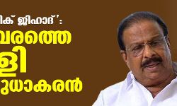 ചിദംബരത്തെ തള്ളി സുധാകരന്‍: കേരളത്തിലെ വിഷയത്തില്‍ അഭിപ്രായം പറയേണ്ടത് കെപിസിസി പ്രസിഡന്റെന്ന് കെ സുധാകരന്‍