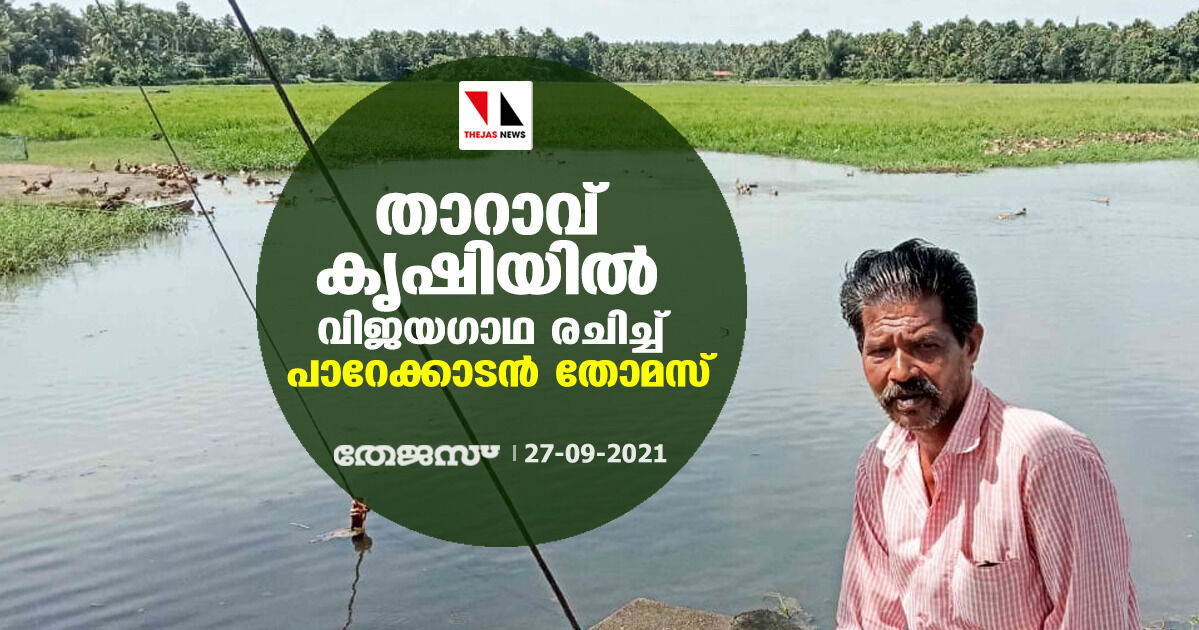 താറാവ് കൃഷിയില്‍ വിജയഗാഥ രചിച്ച് പാറേക്കാടന്‍ തോമസ്