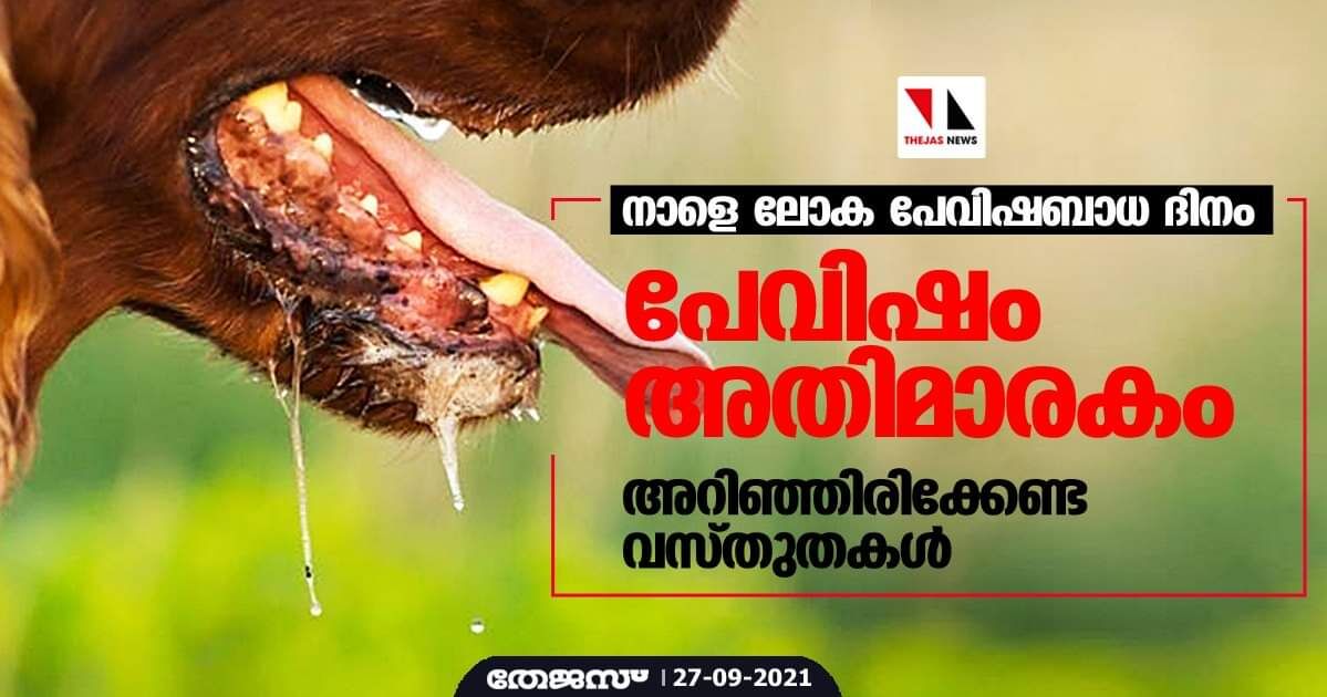 നാളെ ലോക പേവിഷബാധ ദിനം; പേവിഷം അതിമാരകം; അറിഞ്ഞിരിക്കേണ്ട വസ്തുതകള്‍