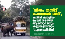 വീതം തന്നിട്ട് പോയാല്‍ മതി ;കരിമ്പ് കയറ്റിയ ലോറി തടഞ്ഞ് ആനയുടെയും കുട്ടിയുടെയും ഗുണ്ടാപ്പിരിവ്  (വീഡിയോ)