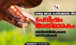 നാളെ ലോക പേവിഷബാധ ദിനം; പേവിഷം അതിമാരകം; അറിഞ്ഞിരിക്കേണ്ട വസ്തുതകള് നാളെ ലോക പേവിഷബാധ ദിനം; പേവിഷം അതിമാരകം; അറിഞ്ഞിരിക്കേണ്ട വസ്തുതകള്