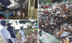 പാലക്കാട് നഗരസഭ അനാസ്ഥ അവസാനിപ്പിക്കണമെന്ന് എസ്ഡിപിഐ പാലക്കാട് നഗരസഭ അനാസ്ഥ അവസാനിപ്പിക്കണമെന്ന് എസ്ഡിപിഐ